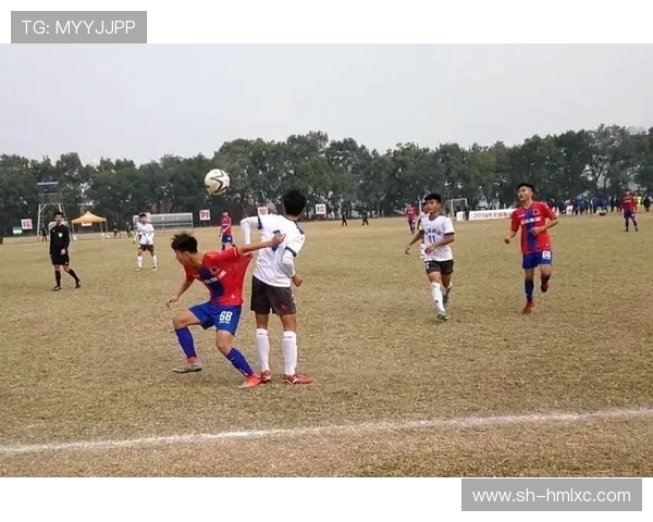 深圳羽毛球队边路渗透战术创新探索与实践分析 深圳羽毛球队边路渗透战术创新探索与实践分析