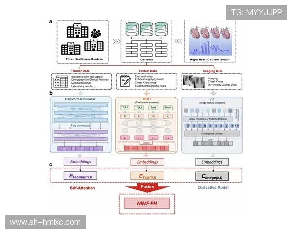 探索奥蓬达的魅力与历史深度，揭示其在当代文化中的重要地位与影响