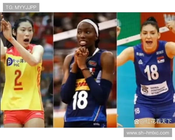 上海排球队团队协作深度解析与其他球队的比较分析