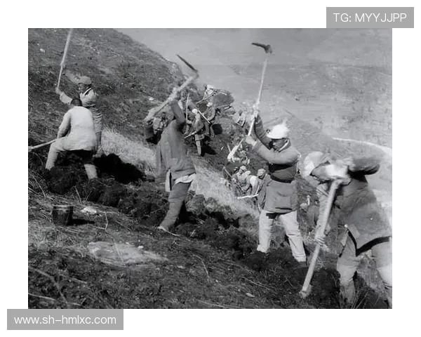 北京篮球队阵地战分析:优劣势与战术调整的深度探讨 北京篮球队阵地战分析:优劣势与战术调整的深度探讨