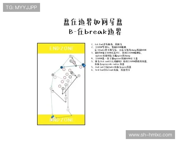 南京飞盘队的战术解析与整体压制策略深度剖析