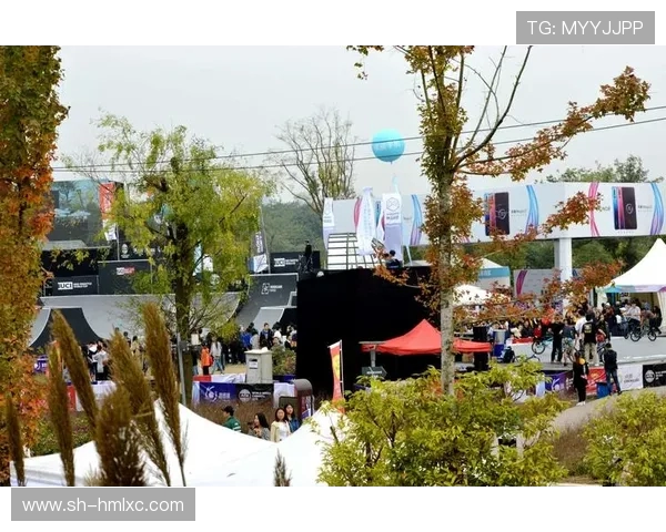 成都极限运动队战术表现数据分析与策略优化探讨